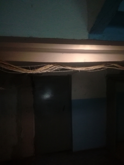 Домовая сеть