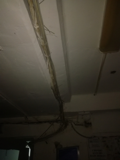 Домовая сеть