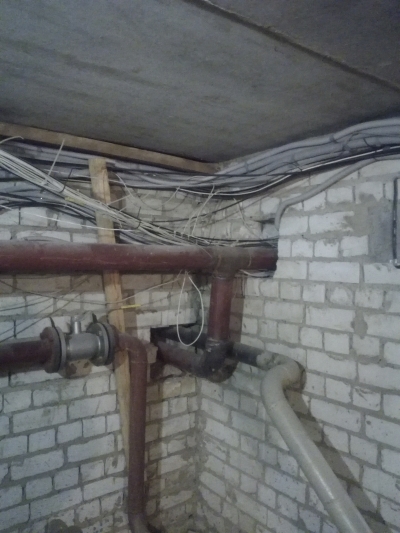 Чердачные виды, обитатели, операторы