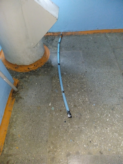 Скучно людям в изоляции