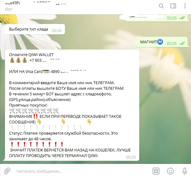 Telegram: островок свободы в мировой паутине