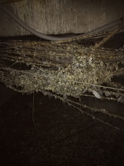 Темный техэтаж