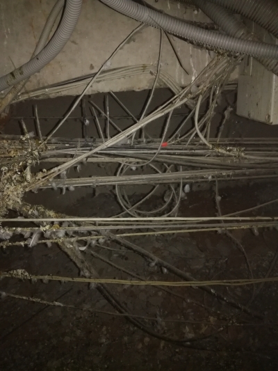 Темный техэтаж