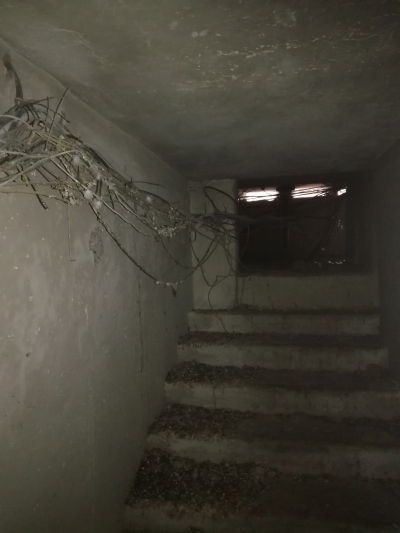 Темный техэтаж