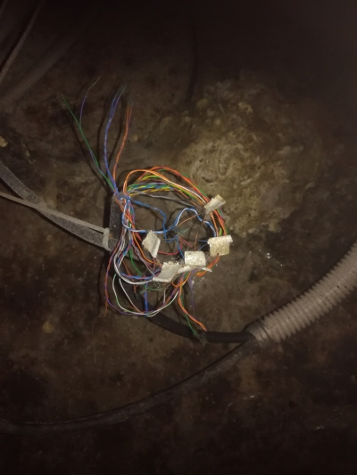 Ужастики всесезонные