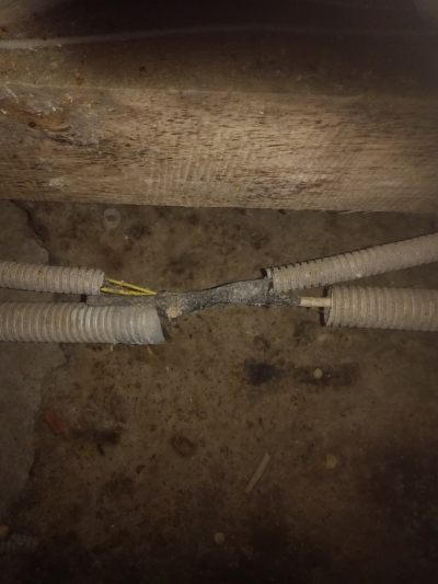 Ужастики всесезонные