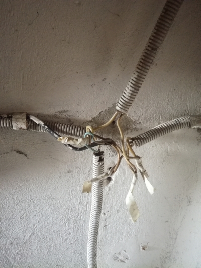 Ужастики всесезонные