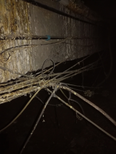 Последний теплый день