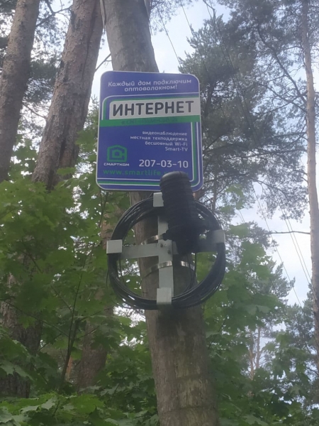 Борщевик и цифровое неравенство Борщевик и цифровое неравенство