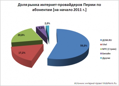 Пермский Интернет под лупой