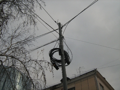 Тюмень столбовая, оптическая