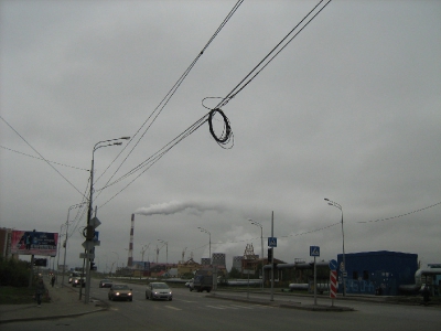 Тюмень столбовая, оптическая
