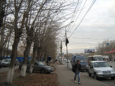 Тюмень столбовая, оптическая