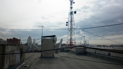 Тарелки