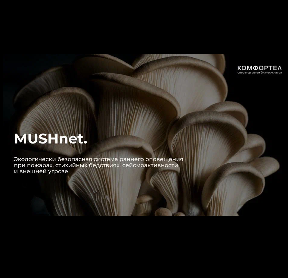 Оператор «Комфортел» тестирует систему раннего оповещения с помощью технологии MUSHnet