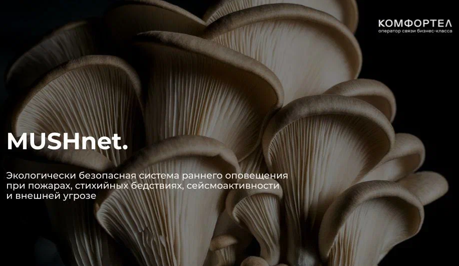 Оператор «Комфортел» тестирует систему раннего оповещения с помощью технологии MUSHnet