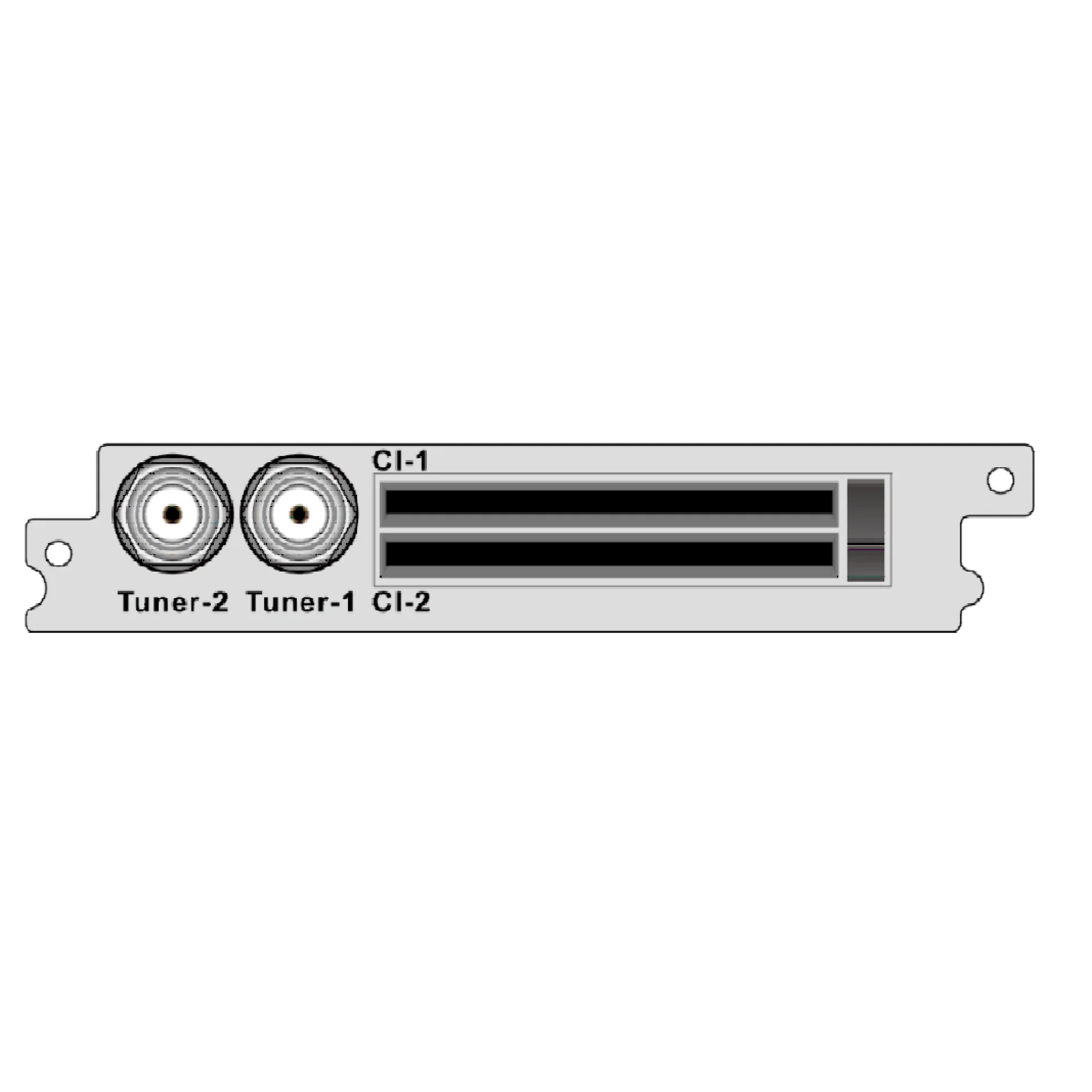 2-канальный демодулятор DVB-S2 / S, 2 * CI для DCP-1000Pro