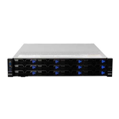 Серверная платформа SNR-SR2412LE-S, 2U, AMD EPYC Gen4,5, DDR5, 12xHDD, резервируемый БП