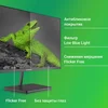 Монитор Digma 23.8" Progress 24P402F черный IPS LED 5ms 16:9 HDMI M/M матовая 250cd 178гр/178гр 1920