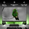 Монитор Digma 27" Progress 27P402F черный IPS LED 5ms 16:9 HDMI M/M матовая 300cd 178гр/178гр 1920x1