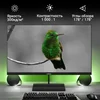 Монитор Digma 27" Progress 27P402F черный IPS LED 5ms 16:9 HDMI M/M матовая 300cd 178гр/178гр 1920x1