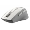Мышь A4Tech Fstyler FG30 белый/серый оптическая (2000dpi) беспроводная USB (6but)