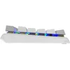 Клавиатура A4Tech Fstyler FS100 Neon механическая серый USB for gamer LED (FS100)