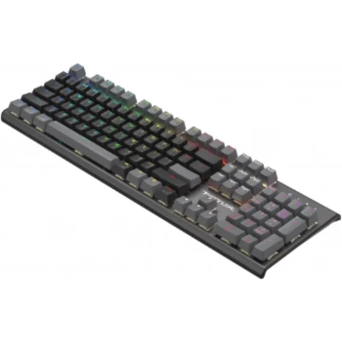 Клавиатура A4Tech Fstyler FS100 Neon механическая черный USB for gamer LED (FS100)
