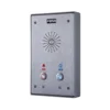 Fanvil i12-N-02P интерком, накладной, внешний, IP65, IK10, 2 кнопки