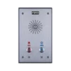Fanvil i12-N-02P интерком, накладной, внешний, IP65, IK10, 2 кнопки
