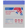 Аккумуляторная батарея VEKTOR BATTERY HR 12-21W