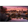 Панель Samsung 65" QB65B черный VA LED 8ms 16:9 DVI HDMI M/M матовая 350cd 178гр/178гр 3840x2160 DP