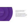 Программное обеспечение MACROSCOP ULTRA, лицензия на работу с 1-й IP камерой