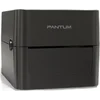 Термопринтер Pantum PT-D160 203dpi 152мм/с/USB для печ.накл. черный