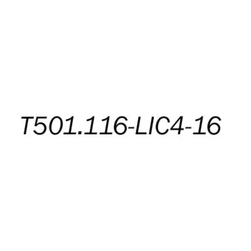 Лицензионный ключ на увеличение E1 портов с 4 до 16 для T501.116.404