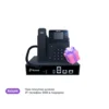 Шлюз Yeastar TB200 (SNR-VP-76-CG-P)