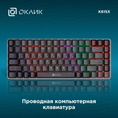 Клавиатура Оклик K615X механическая черный/серебристый USB Multimedia LED (1934413) Клавиатура Оклик K615X механическая черный/серебристый USB Multimedia LED (1934413)