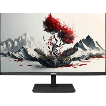 Монитор RDW Computers 23.8" RDW2401K черный IPS 4ms 16:9 HDMI M/M матовая HAS Piv 1000:1 300cd 178гр Монитор RDW Computers 23.8" RDW2401K черный IPS 4ms 16:9 HDMI M/M матовая HAS Piv 1000:1 300cd 178гр