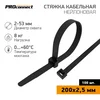 Хомут кабельный 2.5х200 нейл. черн. (уп.100шт) PROCONNECT 57-0201-4 Хомут кабельный 2.5х200 нейл. черн. (уп.100шт) PROCONNECT 57-0201-4