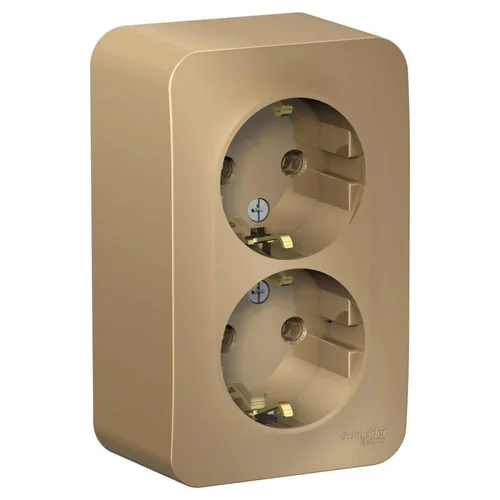 Розетка 2-м ОП Blanca 16А IP20 250В с заземл. без защ. шторок с изолир. пластиной титан SE BLNRA0102 Розетка 2-м ОП Blanca 16А IP20 250В с заземл. без защ. шторок с изолир. пластиной титан SE BLNRA0102