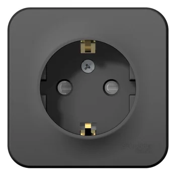 Розетка 1-м ОП Blanca 16А IP20 250В с заземл. защ. шторки с изолир. пластиной антрацит SE BLNRA01111