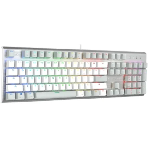 Клавиатура A4Tech Fstyler FS100 Neon механическая серый USB for gamer LED (FS100)
