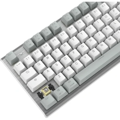 Клавиатура A4Tech Fstyler FS100 Neon механическая серый USB for gamer LED (FS100)