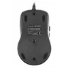 Мышь A4Tech V-Track Padless N-70FX черный оптическая (1600dpi) USB для ноутбука (7but) Мышь A4Tech V-Track Padless N-70FX черный оптическая (1600dpi) USB для ноутбука (7but)