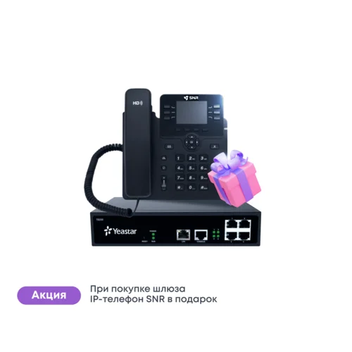 Шлюз Yeastar TB400 (SNR-VP-76-CG-P) Шлюз Yeastar TB400 (SNR-VP-76-CG-P)