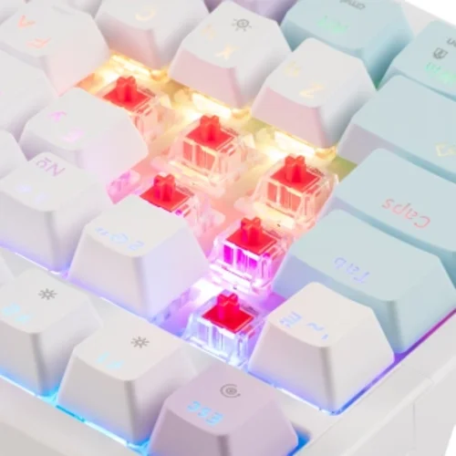 Клавиатура Acer OKW304 механическая белый USB Multimedia for gamer LED (ZL.KBDCC.01V) Клавиатура Acer OKW304 механическая белый USB Multimedia for gamer LED (ZL.KBDCC.01V)